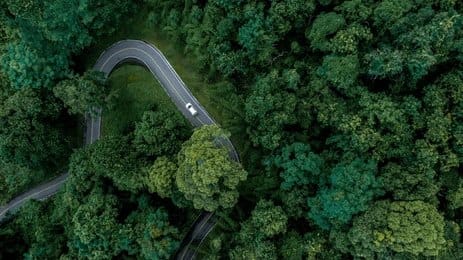 The Green Side of Luxury: Why Pre-Owned Cars Are the Eco-Friendly Choice